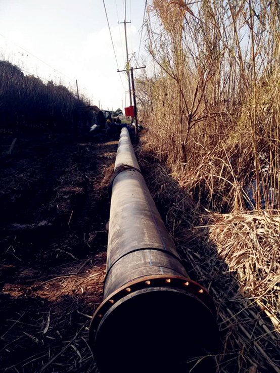 1605791291725600.png 1605791291725600.png