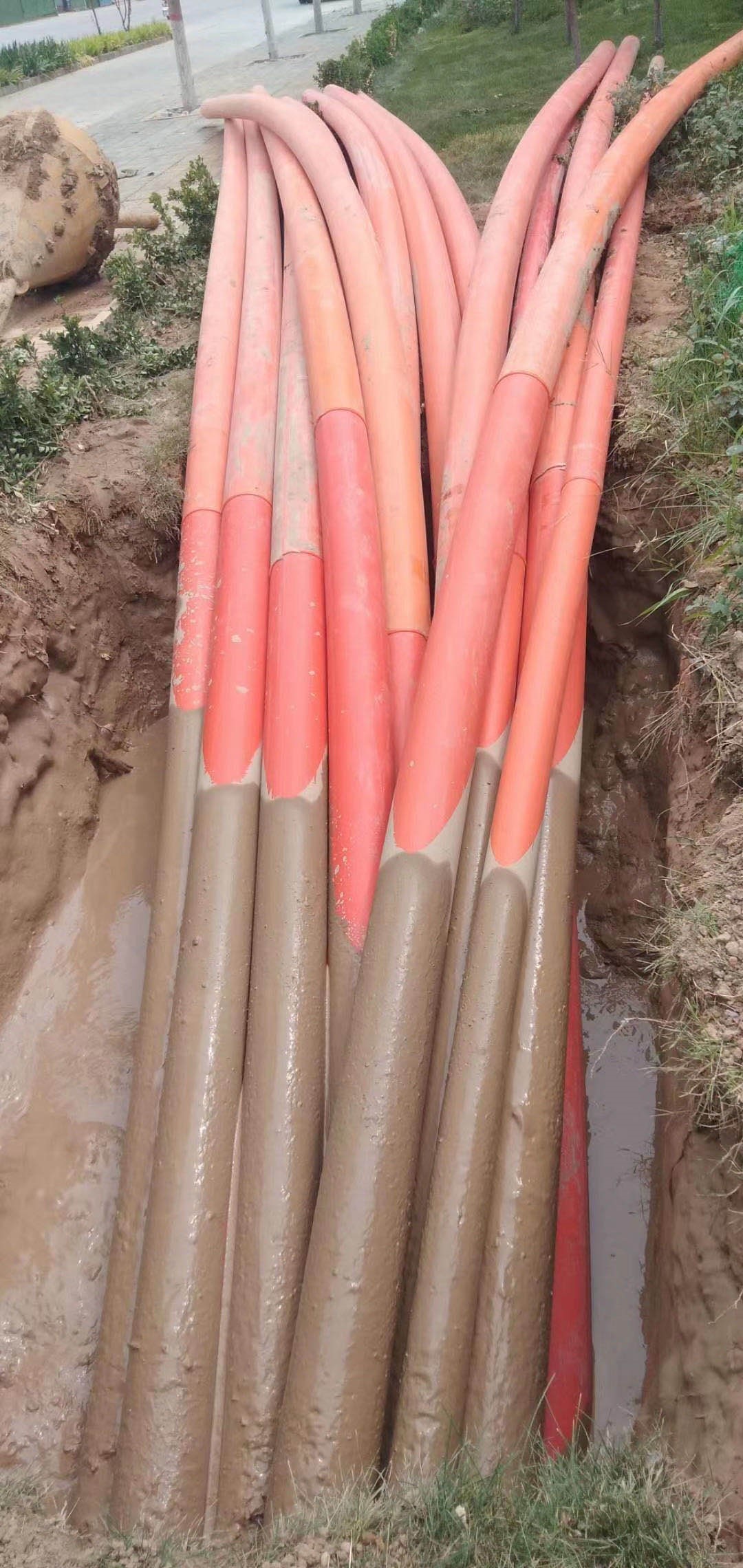 1610693149159071.jpg 33.jpg