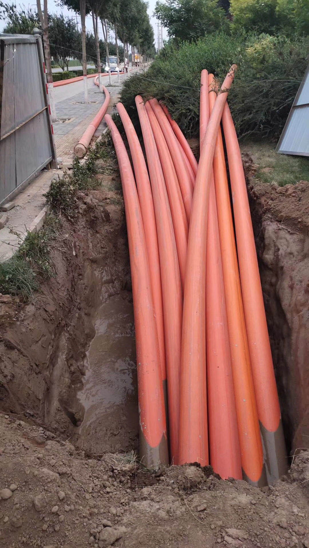 1610693250127421.jpg 66.jpg