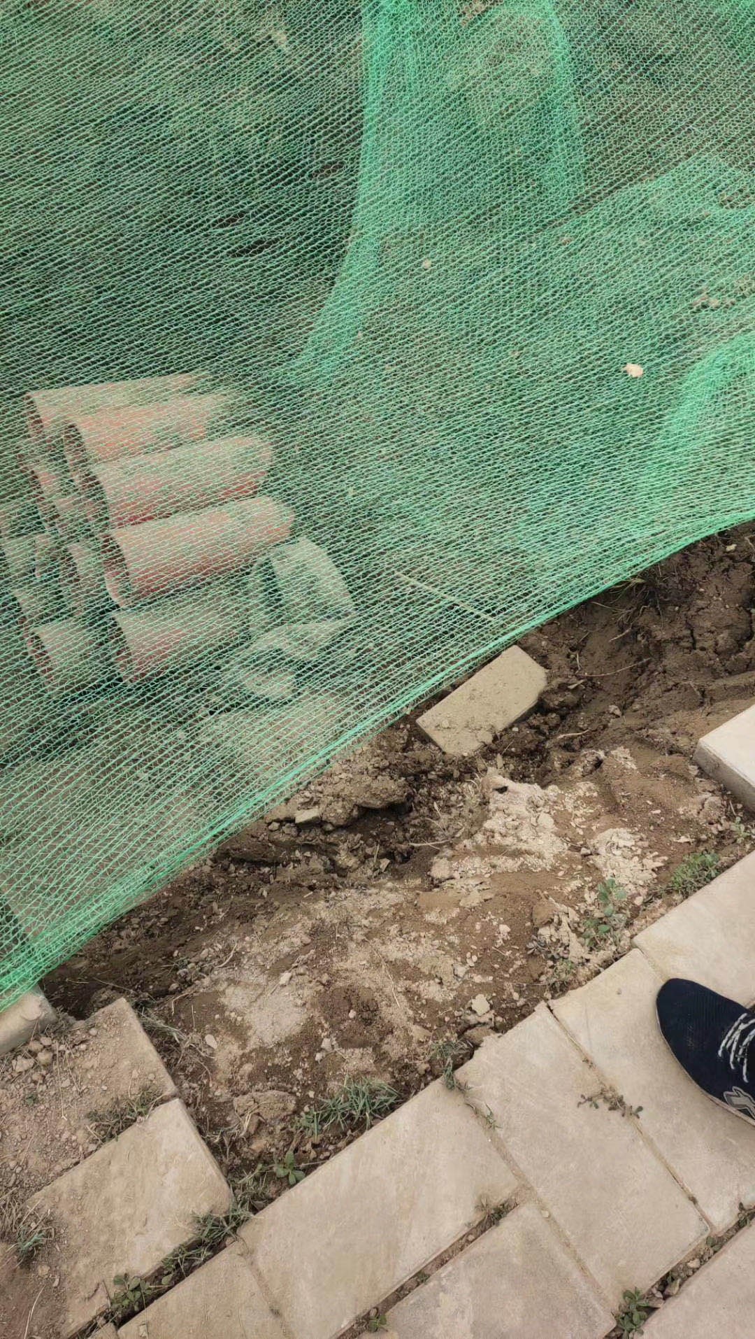 1610693258866075.jpg 77.jpg