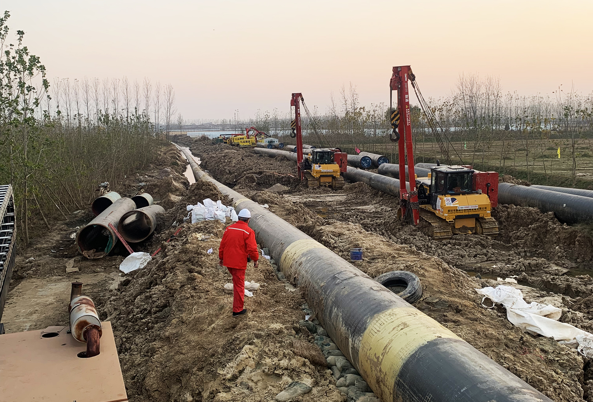 阿大使dad (2).jpg